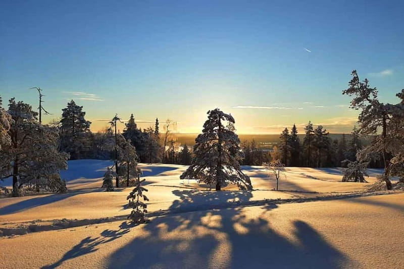 Luleå: snowshoeing in pristine nature with an expert guide! - The right fit for your Luleå trip