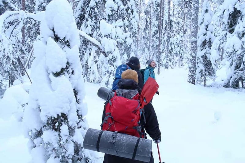 Luleå: snowshoeing in pristine nature with an expert guide! - Should you book this snowshoe tour?