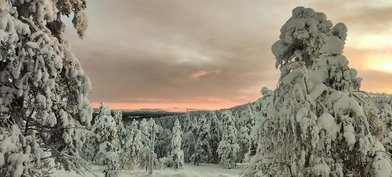 Luosto: Private Sliding Ski Adventure with Local Guide - Who gets the best value for $95?