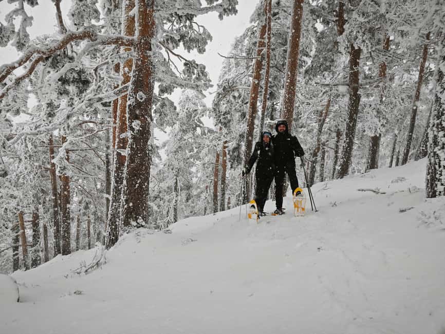 Madrid: Snowshoe Tour - Starting at Puerto de Navacerrada