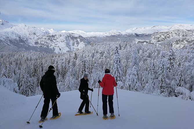 Magical Snowshoeing in Bohinj valley - The value of the $120 price