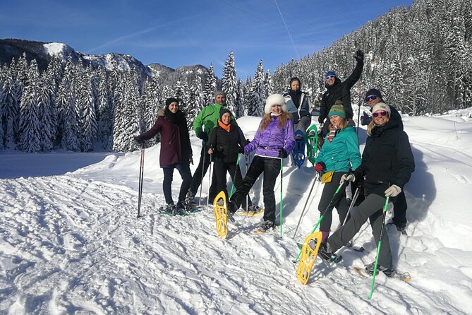 Magical Snowshoeing in Bohinj valley - Transport, timing, and the meeting point