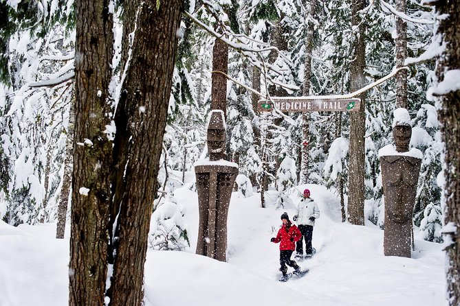 Medicine Trail Snowshoe Tour - Why the Medicine Trail feels different from a standard snowshoe walk