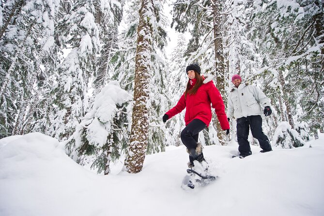 Medicine Trail Snowshoe Tour - Meeting at Carlton Lodge and riding to Callaghan Valley