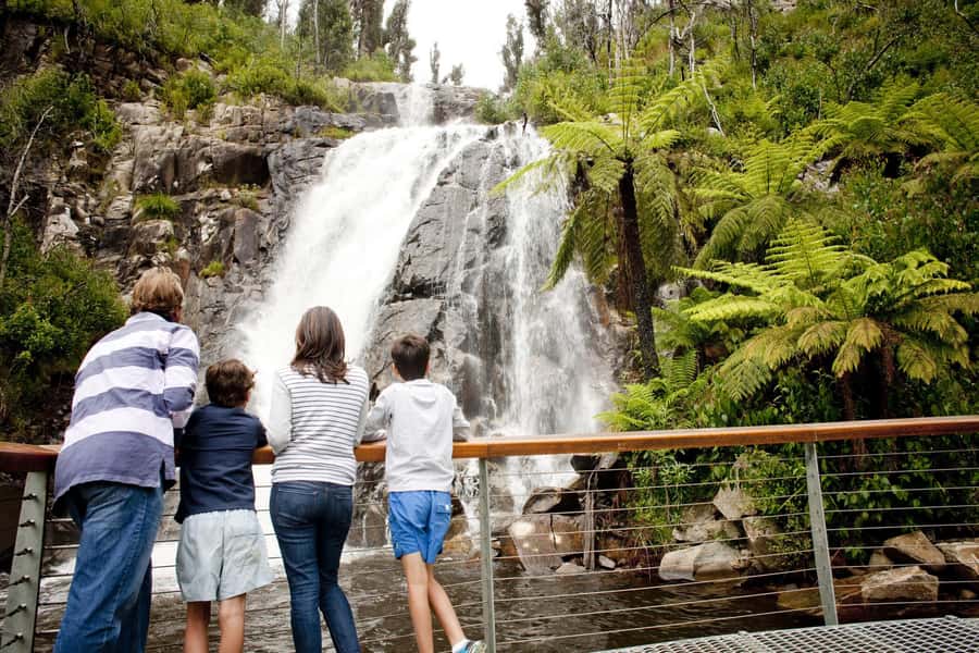 Melbourne: Lake Mountain Snow Day and Waterfalls & Chocolate - Key details worth knowing