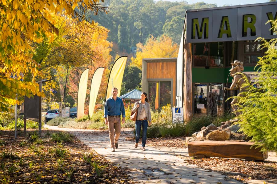 Melbourne: Lake Mountain Snow Day and Waterfalls & Chocolate - Healesville begins the Yarra Valley route
