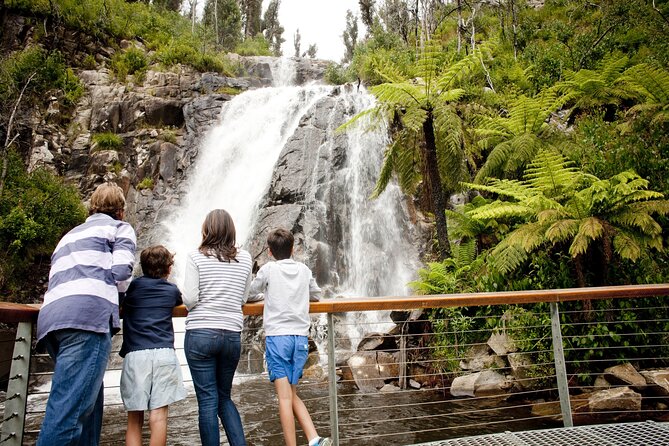 Melbourne Snow Trip to Lake Mountain with Chocolates & Waterfalls - Lake Mountain is the reason to take this trip