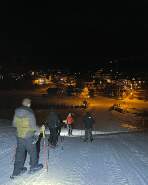 Milky Way: night snowshoe hike with a typical dinner in a mountain hut - The Thures Valley after dark