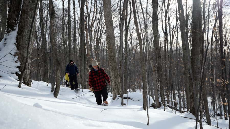 Mont-Tremblant: Guided Snowshoe Tour - Starting at the Tremblant Activity Centre