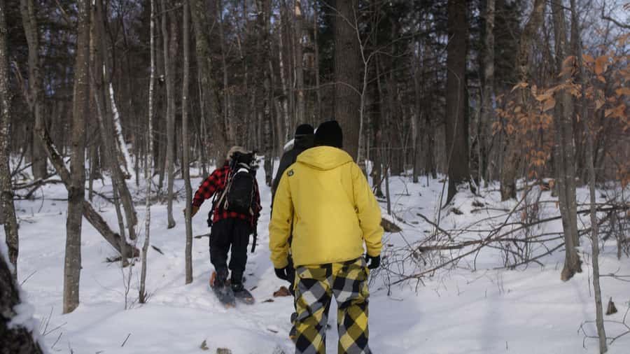 Mont-Tremblant: Guided Snowshoe Tour - How this compares with other Mont-Tremblant activities