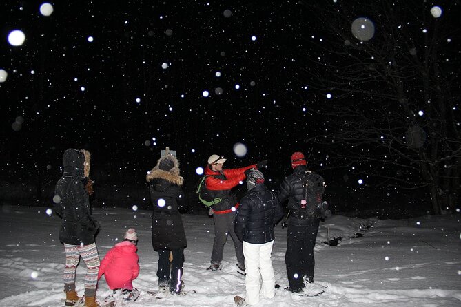 Moonlight Cabin Snowshoe Tour - Starting at Umiak Outdoor Outfitters on South Main Street