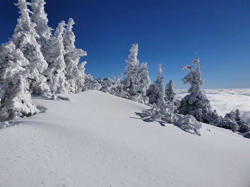 Mount Arber: Snowshoeing in the Bavarian Forest Guided Tour - Starting beside the Hohenzollern Ski Stadium