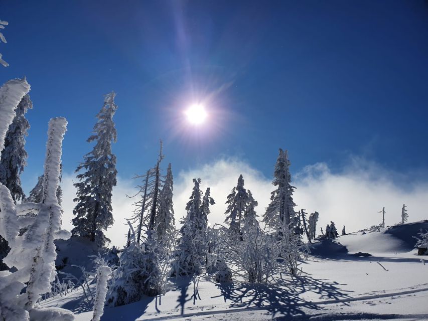 Mount Arber: Snowshoeing in the Bavarian Forest Guided Tour - FAQ