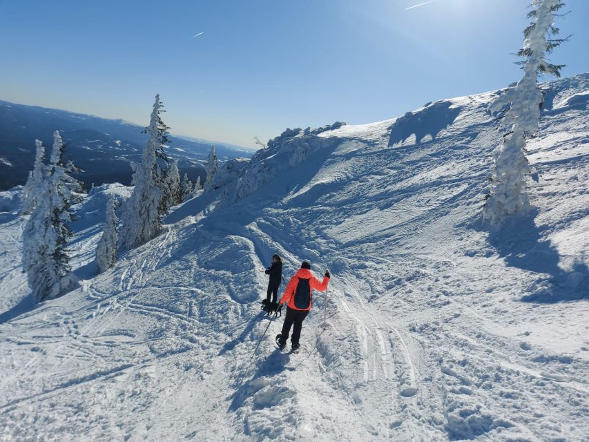Mount Arber: Snowshoeing in the Bavarian Forest Guided Tour - Ice Age fossils and the area beneath your feet