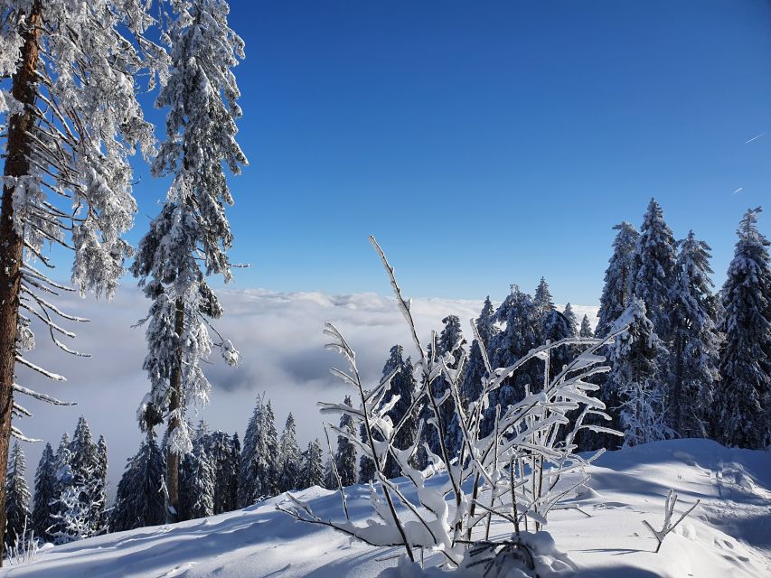 Mount Arber: Snowshoeing in the Bavarian Forest Guided Tour - What the $57 price buys you