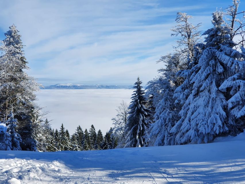 Mount Arber: Snowshoeing in the Bavarian Forest Guided Tour - Language and group style