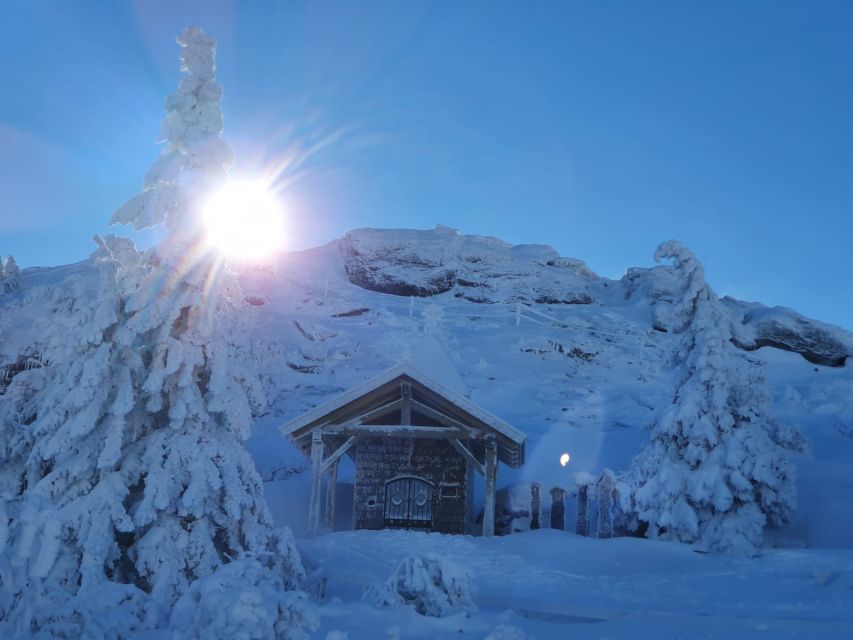 Mount Arber: Snowshoeing in the Bavarian Forest Guided Tour - Who will enjoy this Mount Arber outing