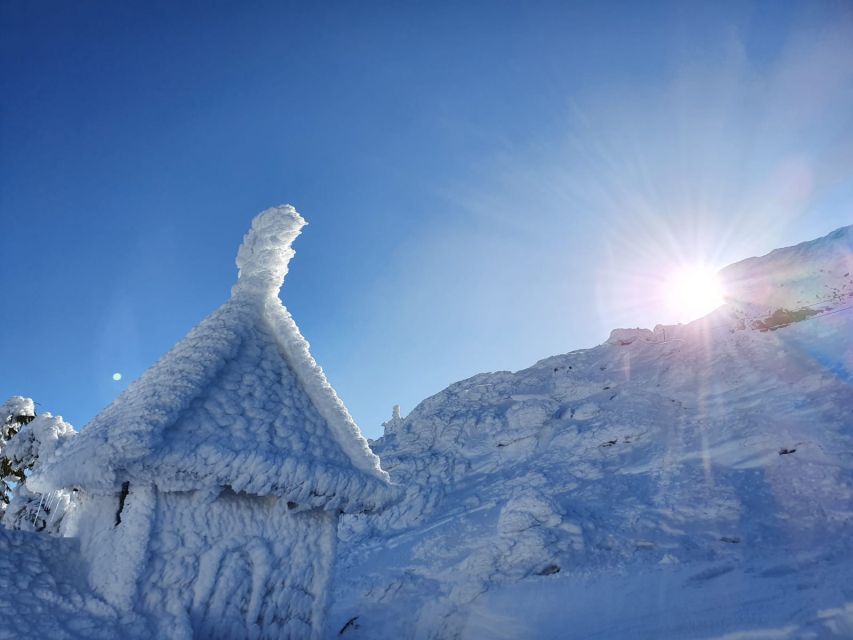 Mount Arber: Snowshoeing in the Bavarian Forest Guided Tour - Should you book the Mount Arber snowshoe tour?
