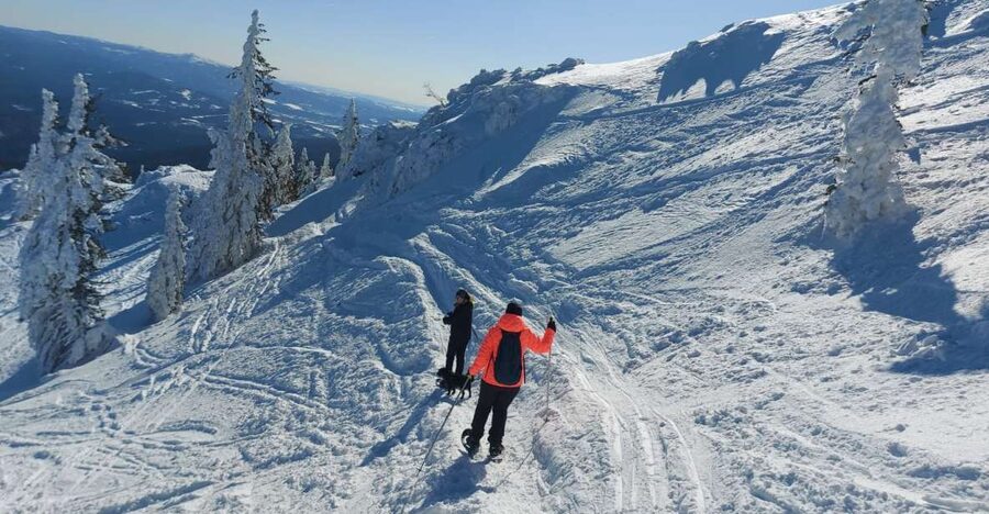 Mount Arber: Snowshoeing in the Bavarian Forest Guided Tour - Why Mount Arber views are worth the effort