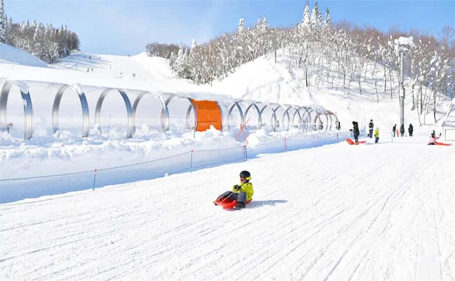 Mt. Fuji Skiing Experience- YETI Ski Resort & Onsen Day Trip - Konohana no Yu and the post-ski choice