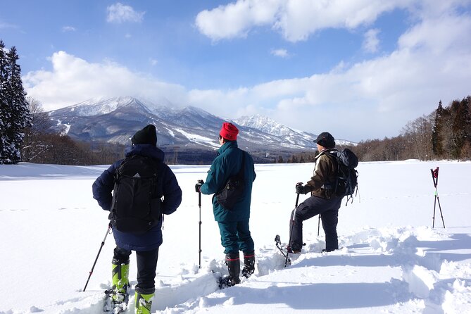 Nagano Snowshoe Hiking Tour - Giant Trees, Animal Tracks, and Coffee on a Snow Table