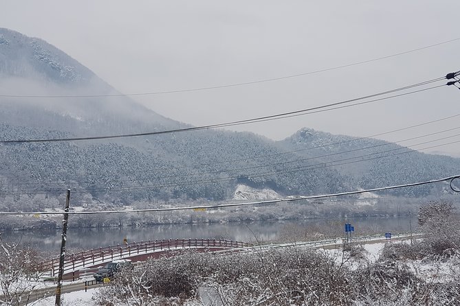 Nami Island + Ski Tour - The guide makes the shared format easier