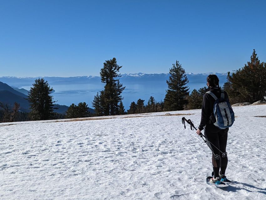 New Washoe City: Chickadee Ridge Beginner Snowshoeing Hike - Key Points Before You Book