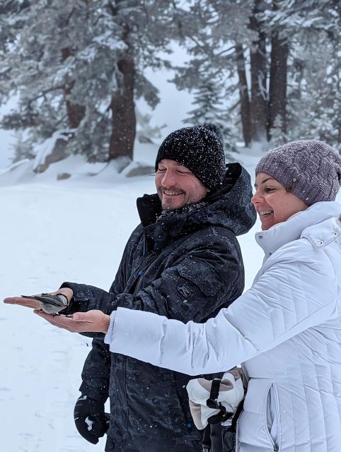 New Washoe City: Chickadee Ridge Beginner Snowshoeing Hike - Climbing 300 Feet to Chickadee Ridge