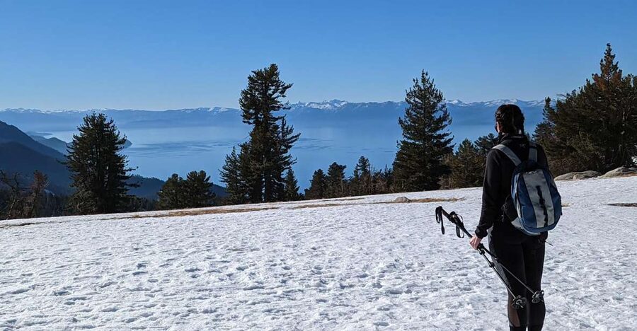 New Washoe City: Chickadee Ridge Beginner Snowshoeing Hike - Descending Through Meadows and Pines