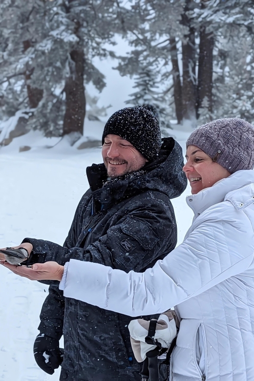 New Washoe City: Chickadee Ridge Beginner Snowshoeing Hike - The Gentle Start Through Mt. Rose Meadows