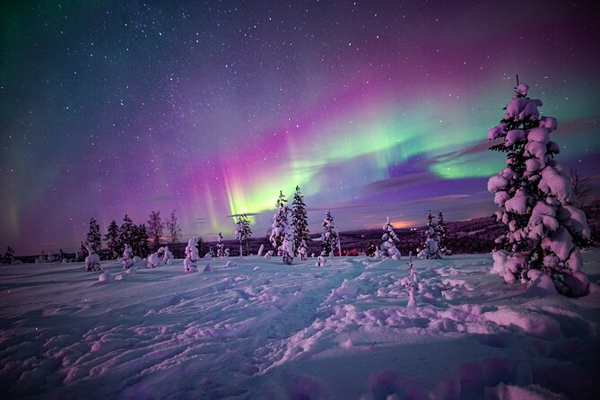 Night Snowshoeing Adventure under the Northern Lights - Into Rovaniemi’s dark Arctic forest
