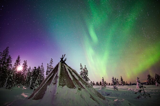 Night Snowshoeing Adventure under the Northern Lights - Transport, timing, and the real three-hour schedule