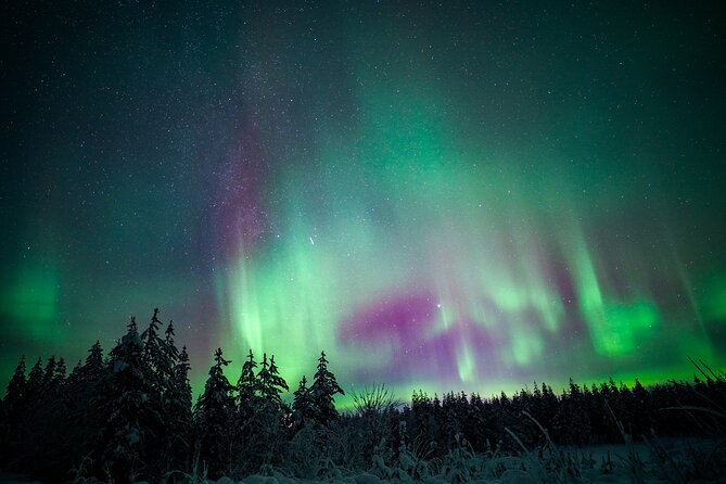 Night Snowshoeing Adventure under the Northern Lights - Is $123 a fair price?