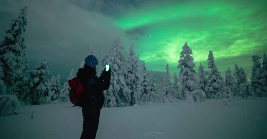 Night Snowshoeing Lapland Experience - What the three-hour night begins with