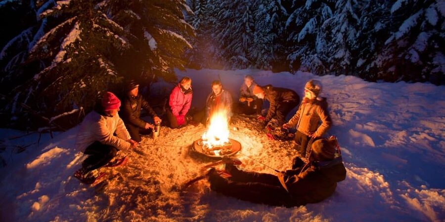 Night Snowshoeing Lapland Experience - Should you book Night Snowshoeing Lapland?