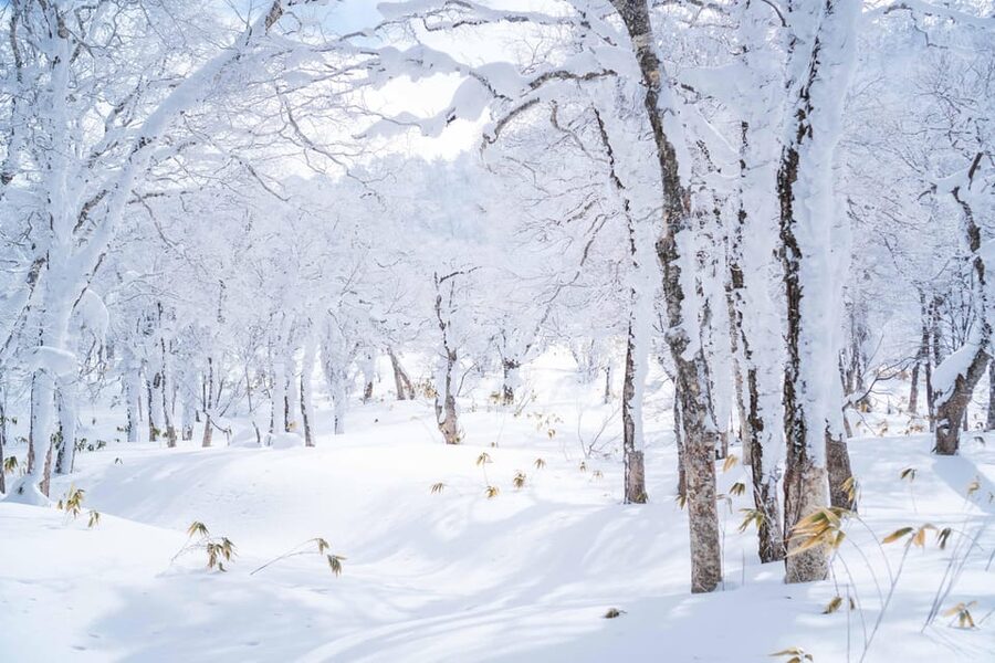 Noboribetsu: Orofure Pass Snowshoeing Tour - Key points at a glance