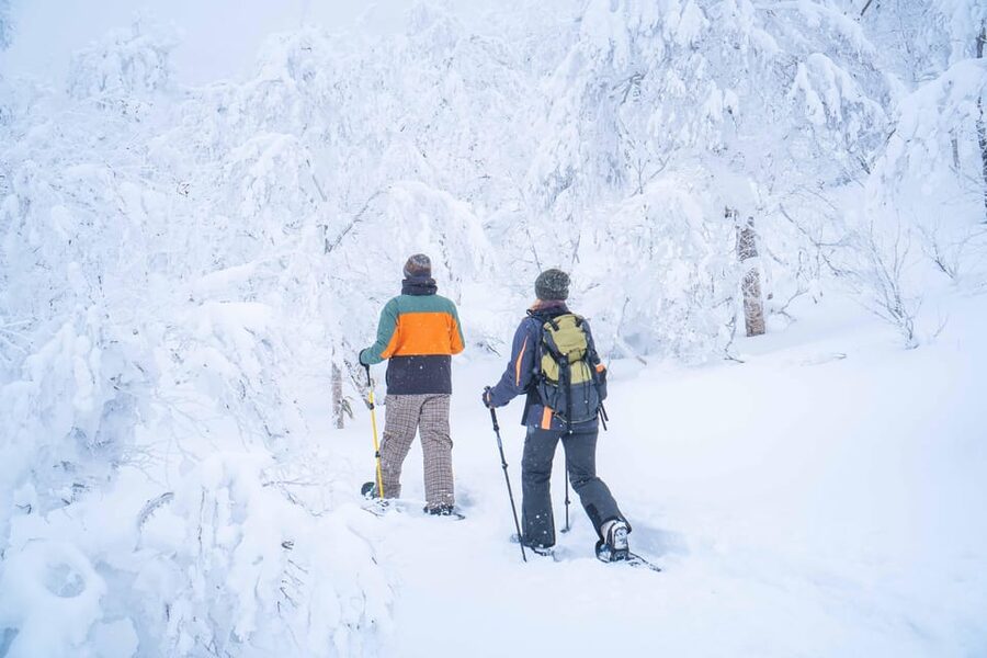 Noboribetsu: Orofure Pass Snowshoeing Tour - Through the forest on snowshoes
