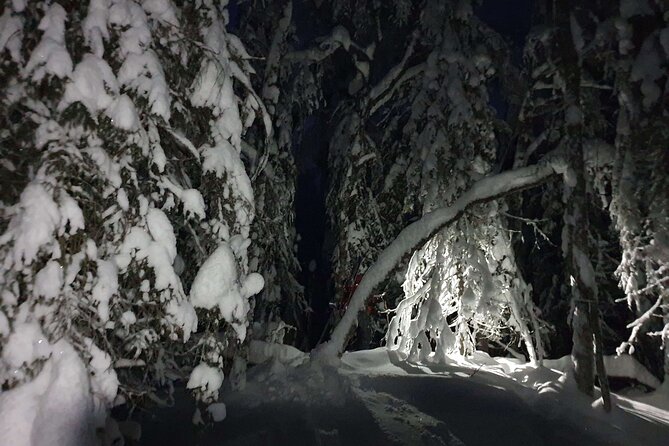 Nocturnal Skiing: Experience the Arctic's Magic - Why skiing after dark changes the experience