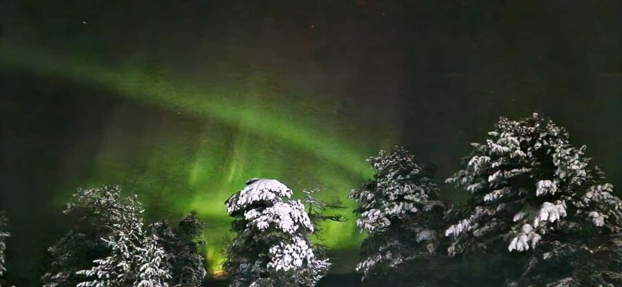Northern Lights Snowshoe Hike in Levi with Latvian Guide - Key points to know before booking