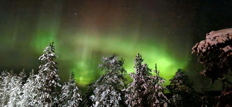 Northern Lights Snowshoe Hike in Levi with Latvian Guide - Leaving Levi for a darker forest