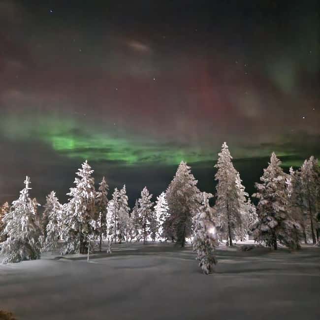 Northern Lights Snowshoe Hike in Levi with Latvian Guide - Tea, snacks, and the value of a warm pause