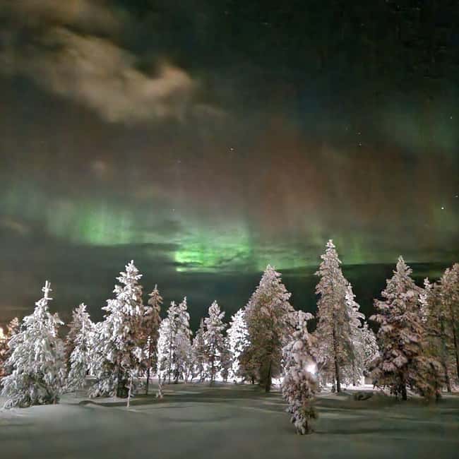 Northern Lights Snowshoe Hike in Levi with Latvian Guide - How the three-hour itinerary works