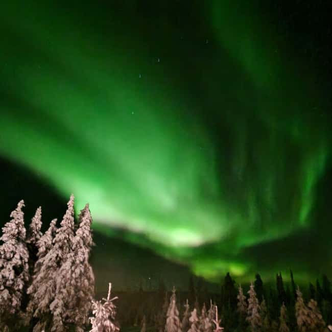 Northern Lights Snowshoe Hike in Levi with Latvian Guide - Snowshoes make the winter walk possible