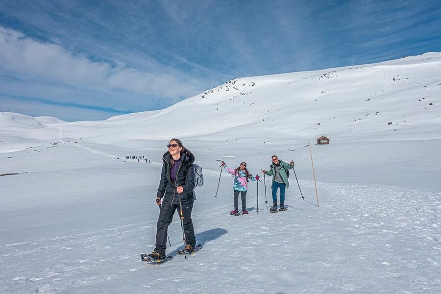 Odda: Trolltunga Winter Hike on Snowshoes - From Skjeggedal to Mågelitopp