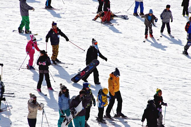 [OFFICIAL] Eden Valley Resort Winter Ski Day Tour from Busan - The staff can make a shared tour feel easier