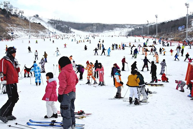 [OFFICIAL] Eden Valley Resort Winter Ski Day Tour from Busan - Who will enjoy this tour most