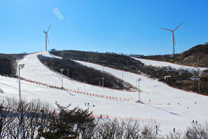 [OFFICIAL] Eden Valley Resort Winter Ski Day Tour from Busan - Is $38.57 good value?