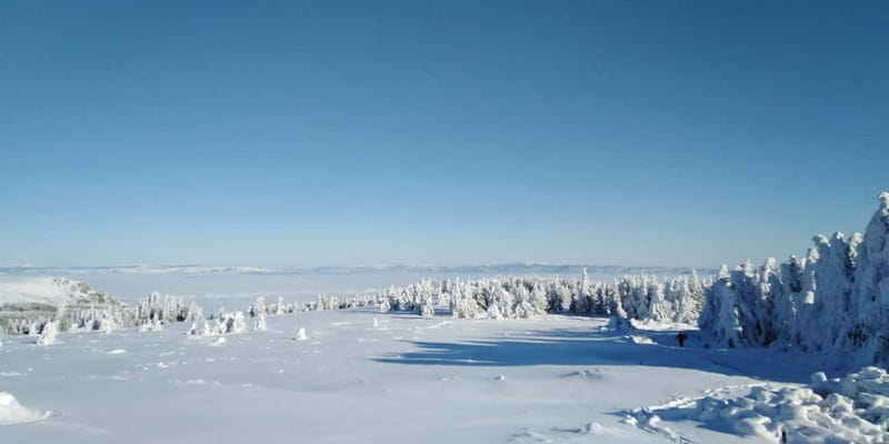 One-Day Hiking with Snowshoes on Vitosha - The 30-minute transfer to Golden Bridges