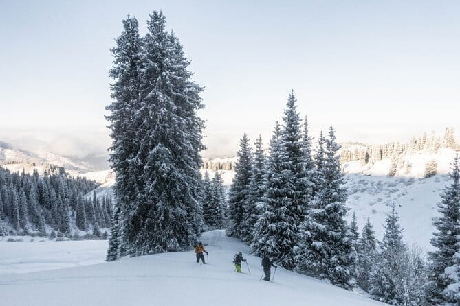 One Day Ski Tour Near Almaty - Who will get the most from this tour