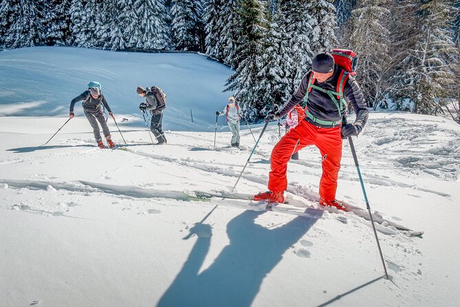 One Day Ski Touring Workshop - What the $366.71 price really covers